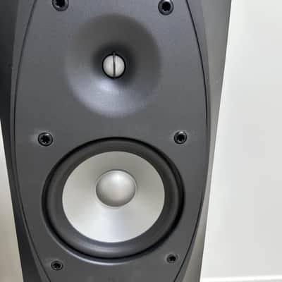 Infinity Entra Two Floorstanding Speakers (Pair) image 7