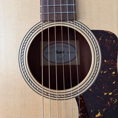 Taylor Academy 12 2019 - 2023 - Natural image 3