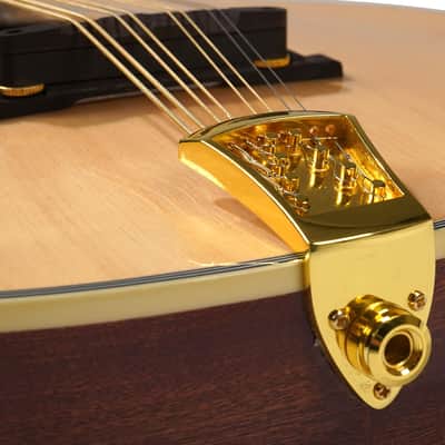 Gold Tone OM-800+/L Arched Solid Spruce Octave&Mahogany Neck Mandolin w/Hard Case For Lefty Players image 10