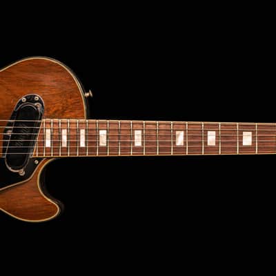 Gibson Les Paul Recording 1973 image 2