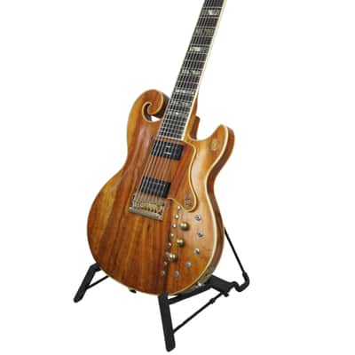 Sam Koontz Joe Cinderella Custom 8-String - 1980 image 7