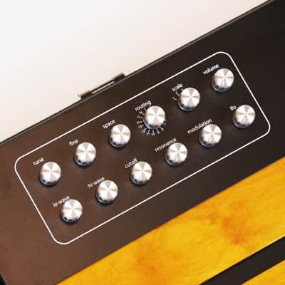 2000s Eowave Persephone MKII Black Ribbon Controller Analog MonoSynth Like New with Manual & Power Supply Mono Dual Tone Synthesizer image 8