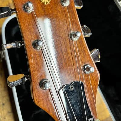 Lotus L505WA 1980 Solid Walnut image 3