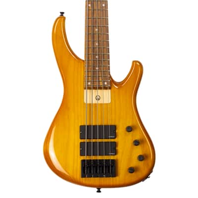 G.Gould GGi5 SST Hybrid Graphite/Maple Composite neck - Alder body - Amber finish - Pao Ferro Fretboard - 8.6 pounds - #1513 image 19