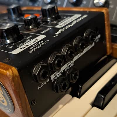 Moog MF-101 Moogerfooger Low Pass Filter 1998 - 2018 - Black image 3