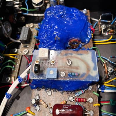 Dumble Overdrive Special with travel case image 19