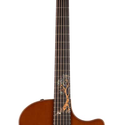 Taylor 2024 Custom GA #34: C14ce Lutz Spruce/East Indian Rosewood (1 of 12 Built!) w/OHSC (077) USED image 7