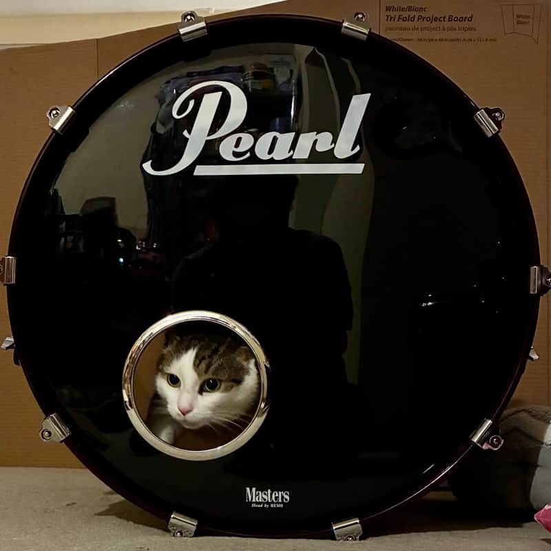 Pearl Masters Custom