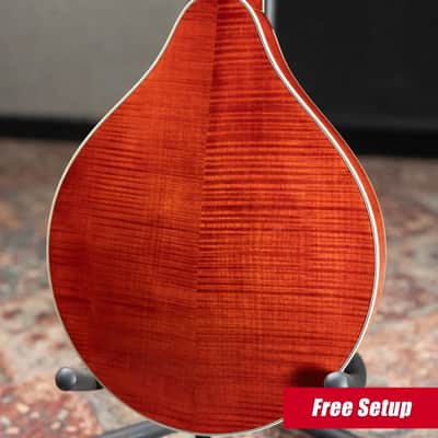 Eastman MD805 A-Style Mandolin with Softshell Case image 2