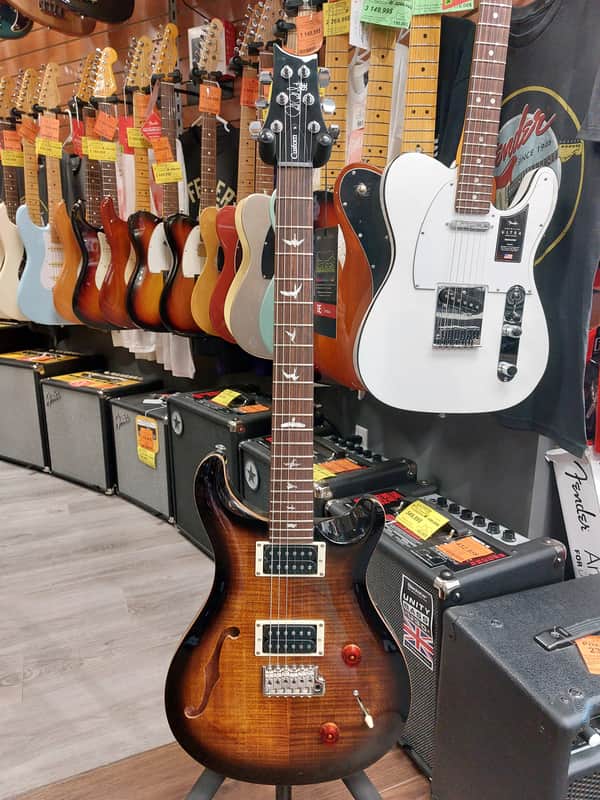 PRS SE Custom 22 Semi-Hollow | Reverb Canada