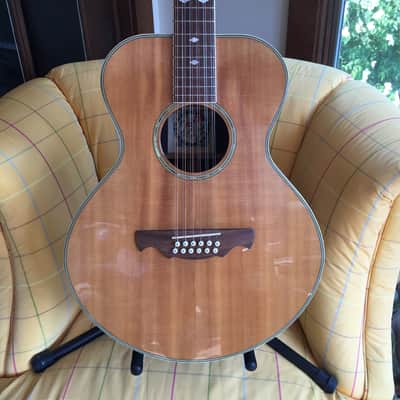 Alvarez 2551 12 String Limited Edition Silver Anniversary Model Gibson L-1 L-00 l-2 look-alike 5037 image 19