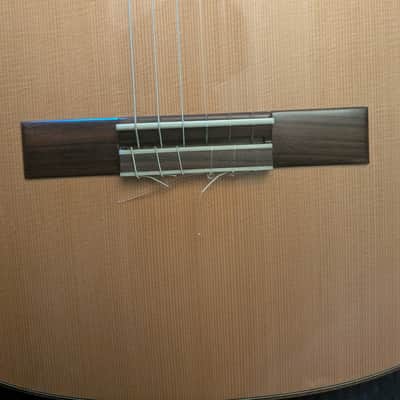 Steve Allen Solid Granadillo and Cedar classical guitar image 9