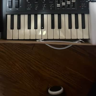 Arturia MicroBrute 25-Key Synthesizer 2014 - Present - Black