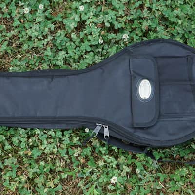 The Loar LM-110 Mandolin image 14