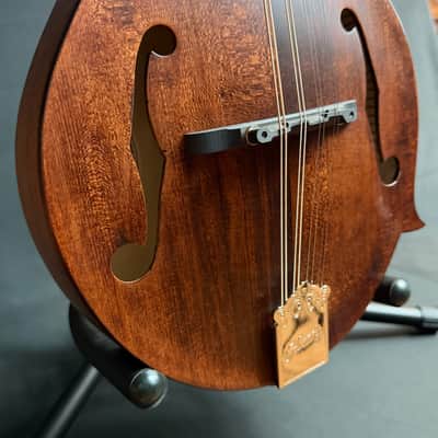 Kentucky KM-606 Standard F-Style Mandolin Walnut Stain w/ Soft Case (684) image 6