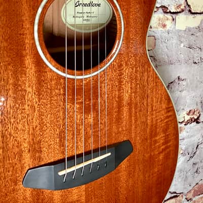Breedlove Frontier Parlor E 2017 - Natural Gloss image 5