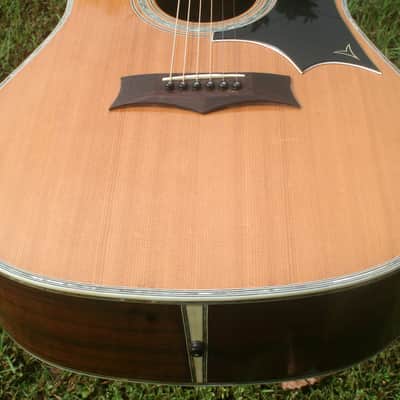 1977 Yairi YW600G Grammer Guitar Style New Jacaranda - Natural+Hard Case image 16