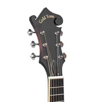 Gold Tone F-6: F-style Mando-Guitar with Pickup and Case image 6