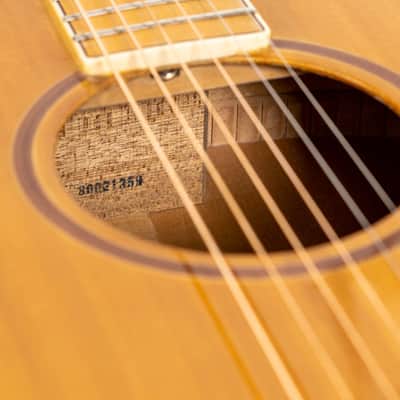 Daion MUGEN Mark III - Maple Series - Six String Acoustic image 23