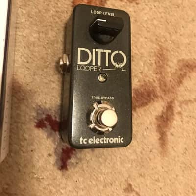 TC Electronic Ditto Looper 2013 - Present - Black image 6