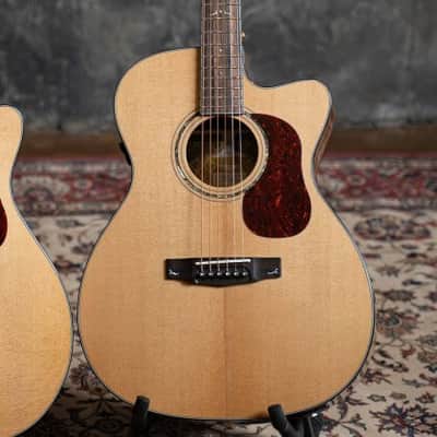 Cort Gold Series OC6 Bocote Acoustic Electric Guitar -*Case Included* 2020s - Natural Glossy image 19