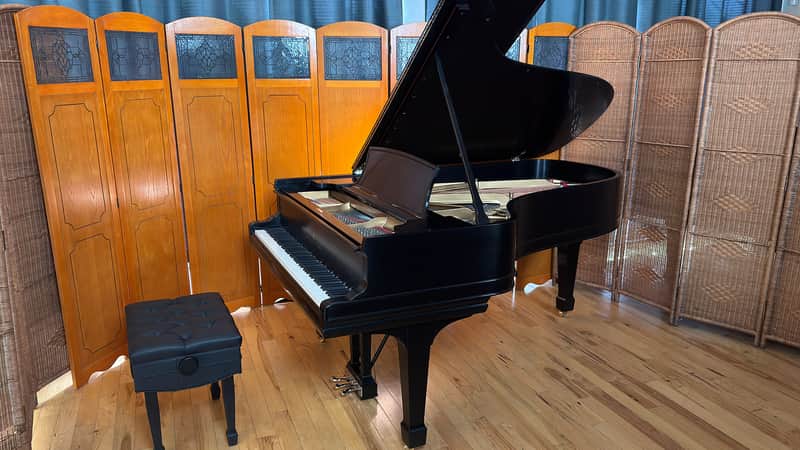 Steinway&Sons B 1896 - Ebony Satin image 1