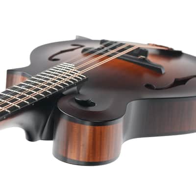 Collings MF F Style Mandolin 2022 image 10