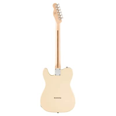 Used Squier Affinity Telecaster Thinline - Olympic White w/Laurel FB image 7