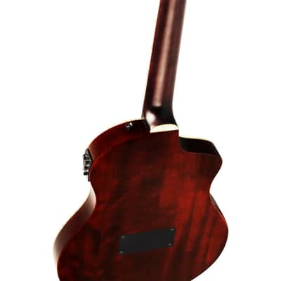 Ortega TourPlayer Series Nylon String Acoustic-Electric Guitar - RTPDLX-ACA-L, Left-handed image 11