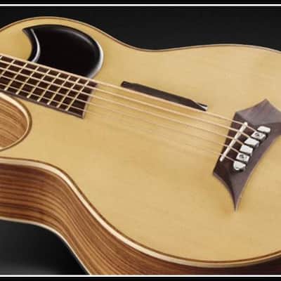 Warwick ALIEN 5 Natural Satin Acoustic Electric Bass, LEFT-HANDED, Fretted, Brand New, Free Shipping image 2