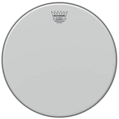 Remo Ambassador Coated Classic Fit 13" Tom Head image 1