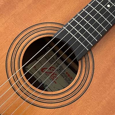 EKO Rio Grande VI - 1960’s Made in Italy 🇮🇹! - Multa Bella Chitarra! - Beautiful Guitar! - image 5