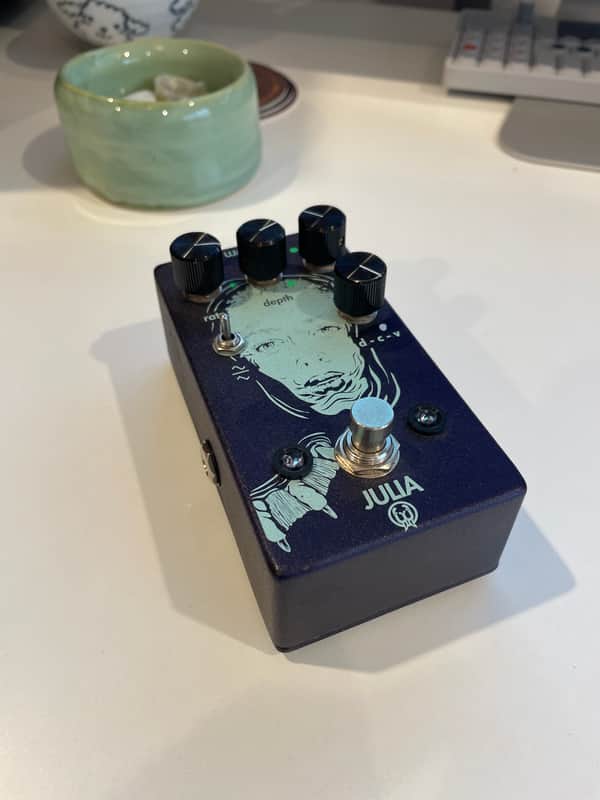 Walrus Audio Julia Chorus/Vibrato Owned by Jacob Tilley of Young the Giant image 1