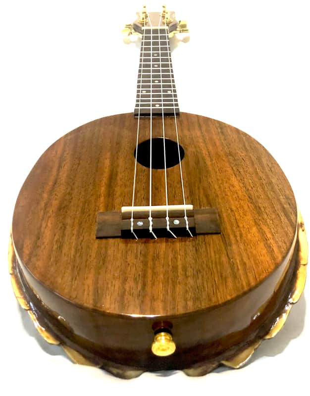 Turtle Shell Soprano Ukulele image 1