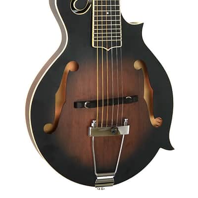 Gold Tone F-Style 6-String Acoustic Electric Mandolin-Guitar w/ Hard Case image 1