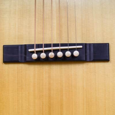 Lyon & Healy Lakeside Parlor Acoustic Electric - Indian Rosewood #004 image 10