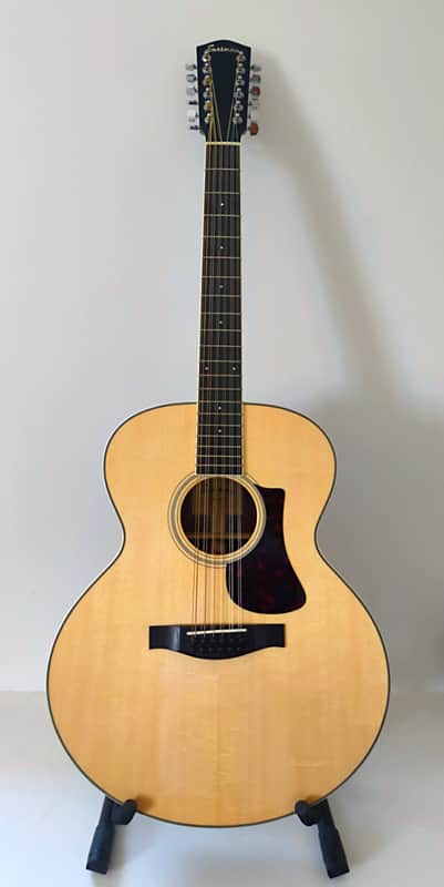 Eastman AC330E-12 - Natural image 1