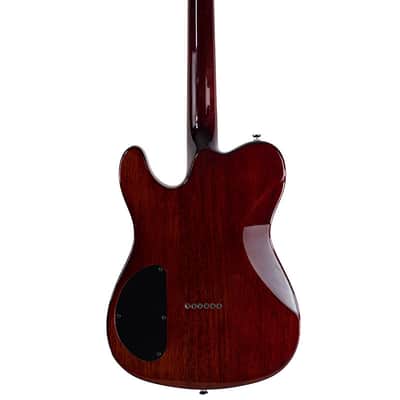 2008 Fender Special Edition FMT Spalted Maple Telecaster Natural image 4