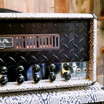 Mesa Boogie Stiletto Trident II Head and 4x12" Cabinet -2011-2012- Snakeskin - Ultra Rare image 17