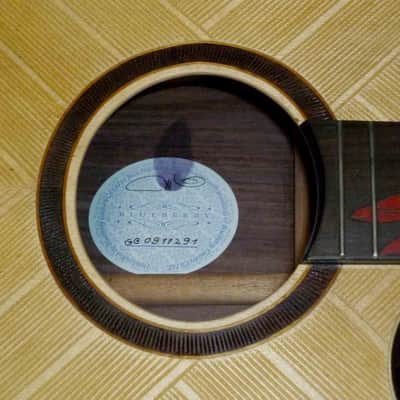 Blueberry Handmade Acoustic Guitar Grand Concert Cutaway Built to Order - 90 Day Delivery image 5
