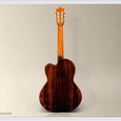 Linda Manzer Nylon String image 8