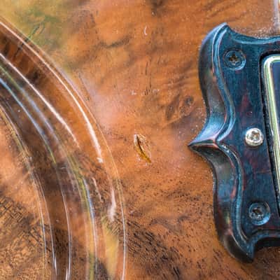 Scott Walker "Special" Guitar - 2011 - walnut & mahogany image 17