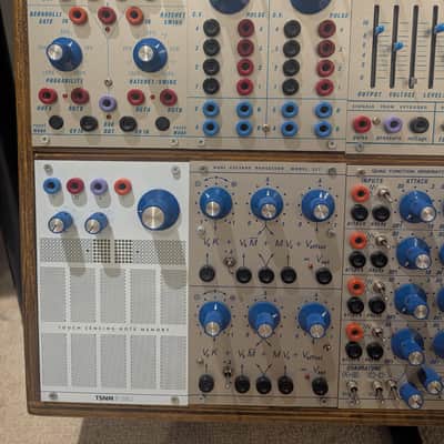 Buchla DIY Synthesizer Bild 2