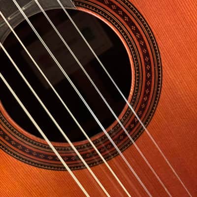 2005 Michael Thames "Double Top" Classical Guitar #605 image 10