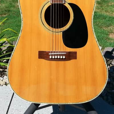 Extremely Rare Vintage Ventura V-20 Acoustic Guitar 3 Piece Back Matsumoku Made in Japan MIJ Nice! image 3
