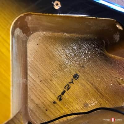 Tokai Silver Star SS48 1982 sunburst image 6