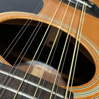 Takamine EF385 1981 - Clear image 10