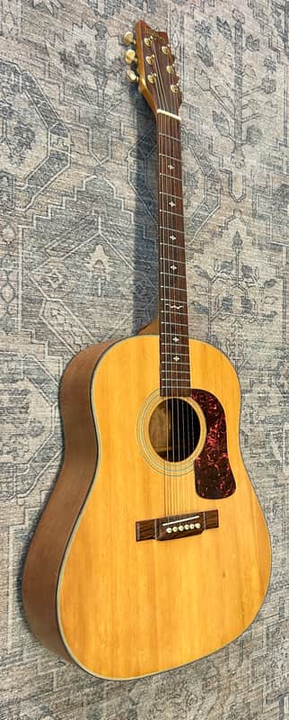 Washburn D28S / D29S - Natural image 1