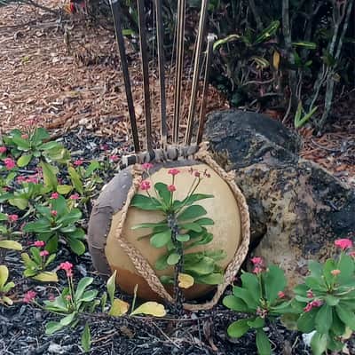 African-style pluriarc (compound musical bow): Extra large image 4