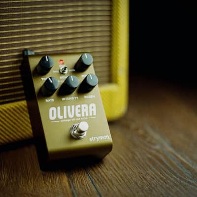 Strymon Olivera Vintage Oil Can Echo 2025 - Present - Olive image 3